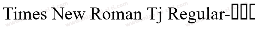 Times New Roman Tj Regular字体转换